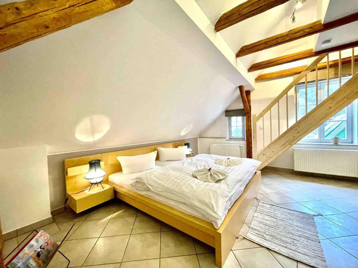 Villa Monsei Bad Schandau Extérieur photo