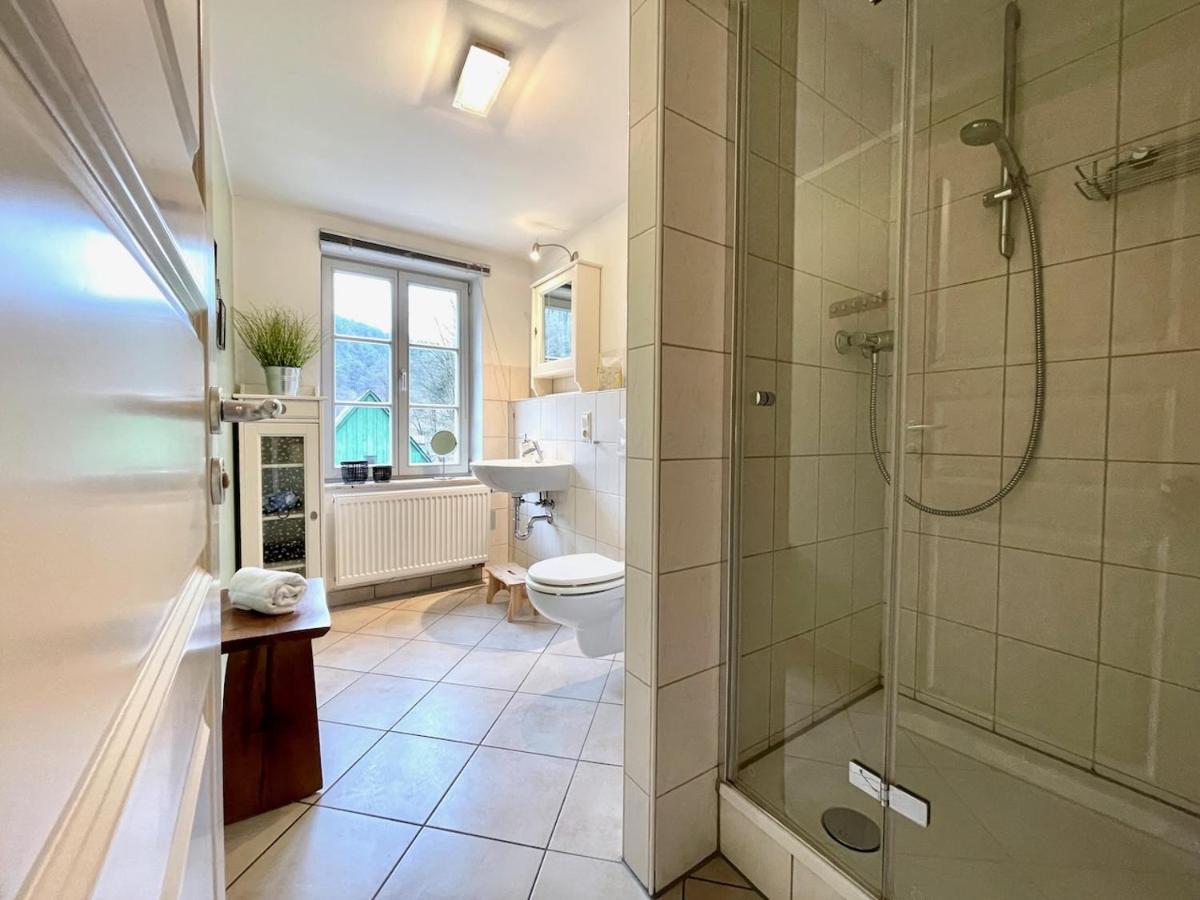 Villa Monsei Bad Schandau Extérieur photo