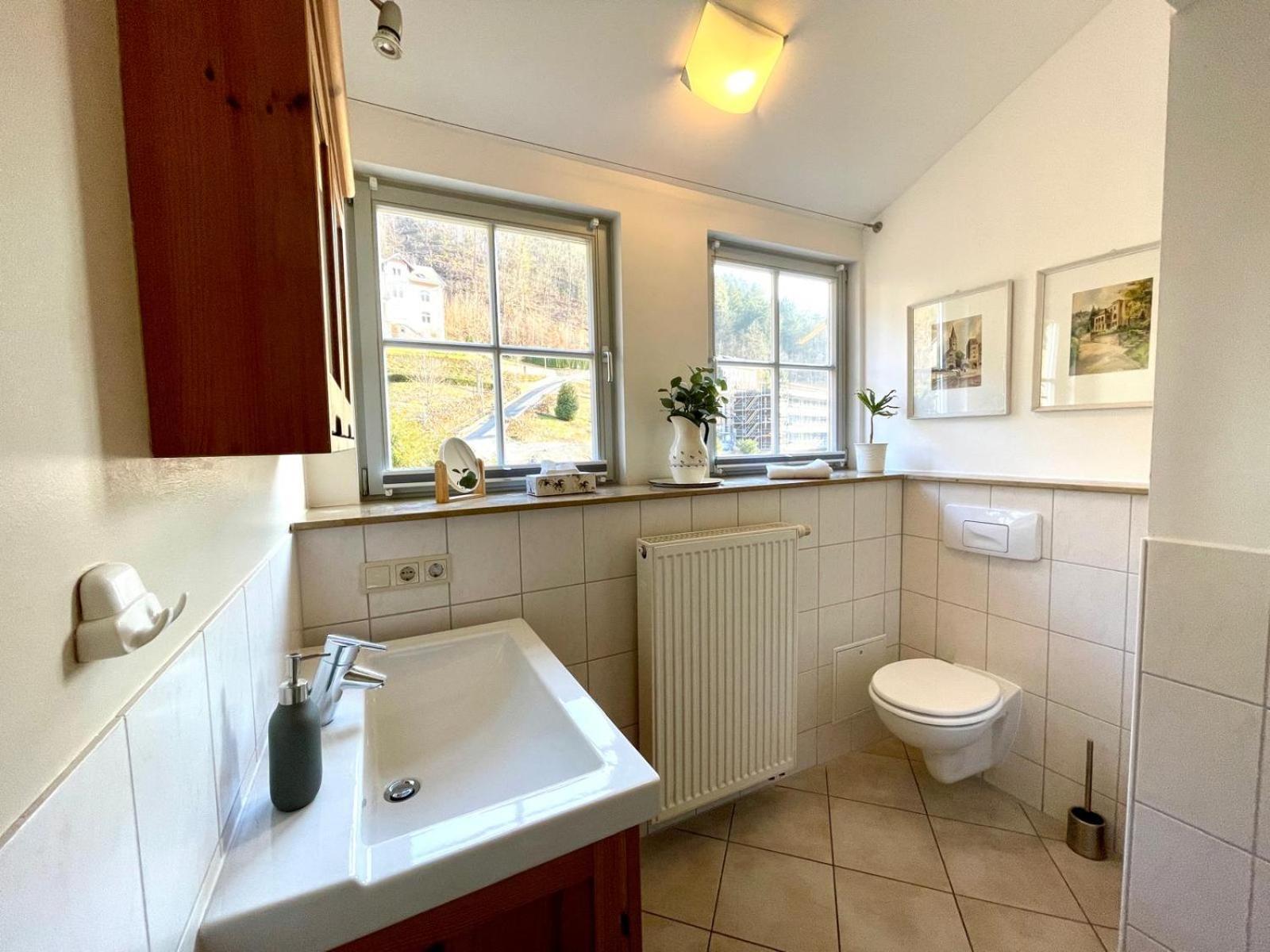 Villa Monsei Bad Schandau Extérieur photo